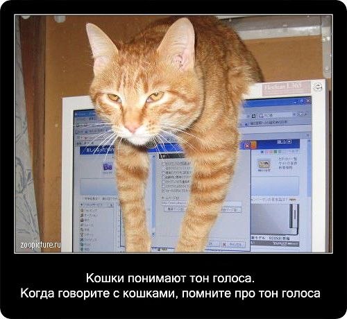 Irina Fomenko | Белгород