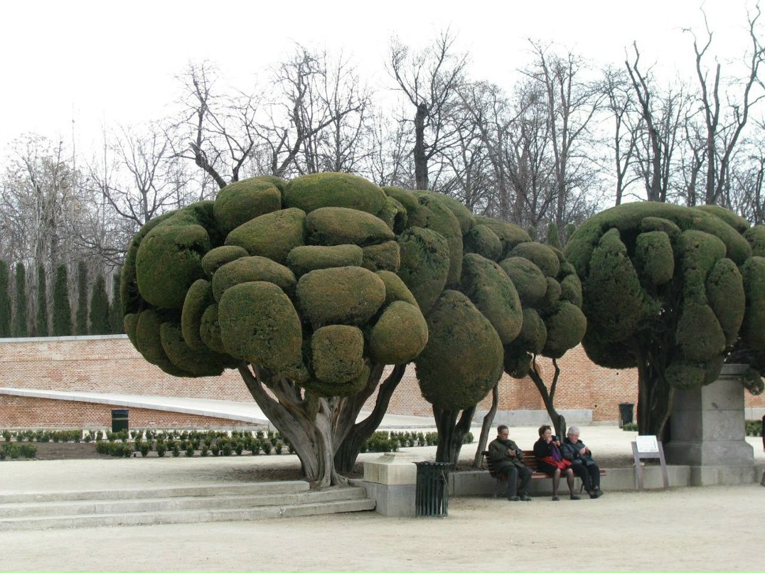 Ольга Зиновьева | Санкт-Петербург