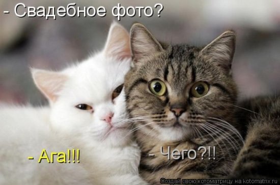 Иван Кузнецов | Кондопога