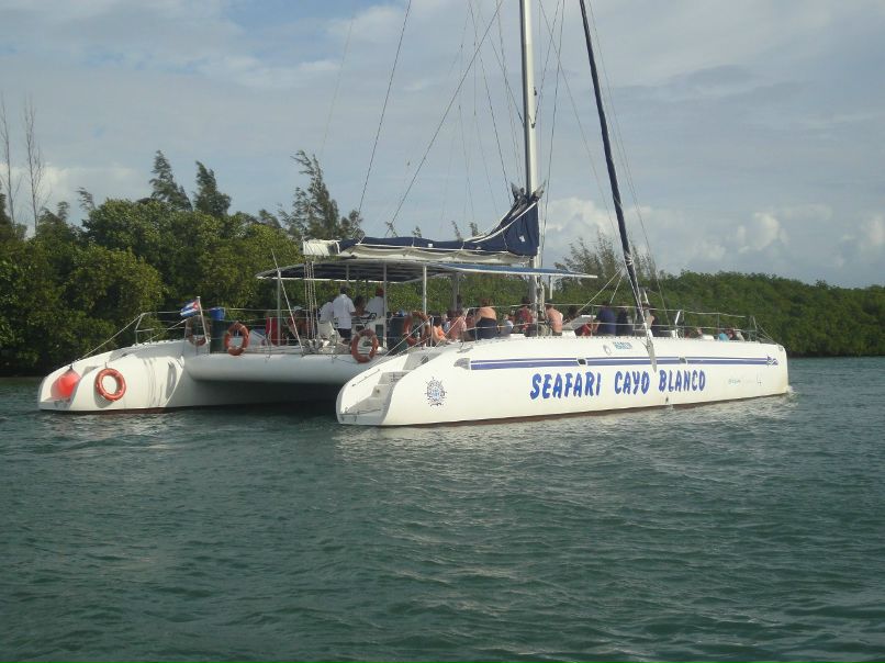 Рома Дашкевич | Мурманск