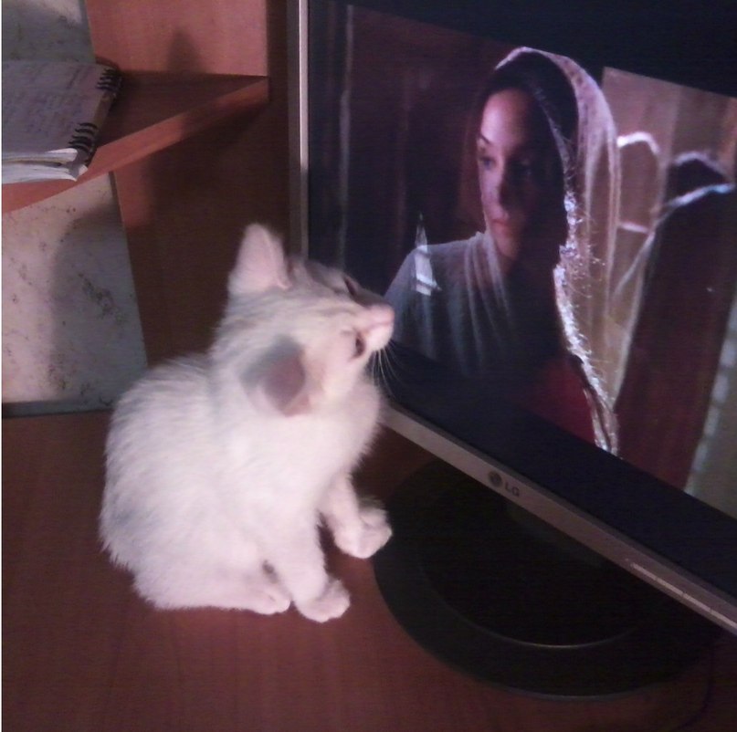 Ольга Свиридова | Новосибирск