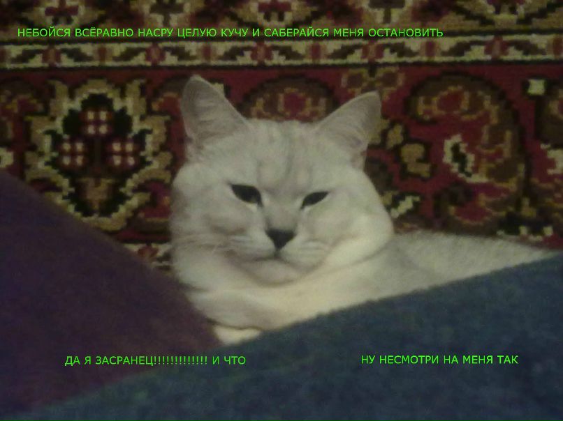 Александр Царёв Сергеевич | Москва