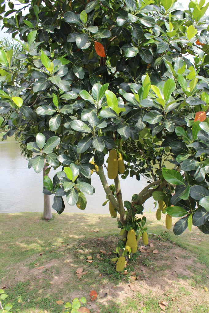 Денис Сафиулин | Одинцово