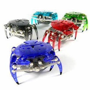 Андрей Рожков | Санкт-Петербург