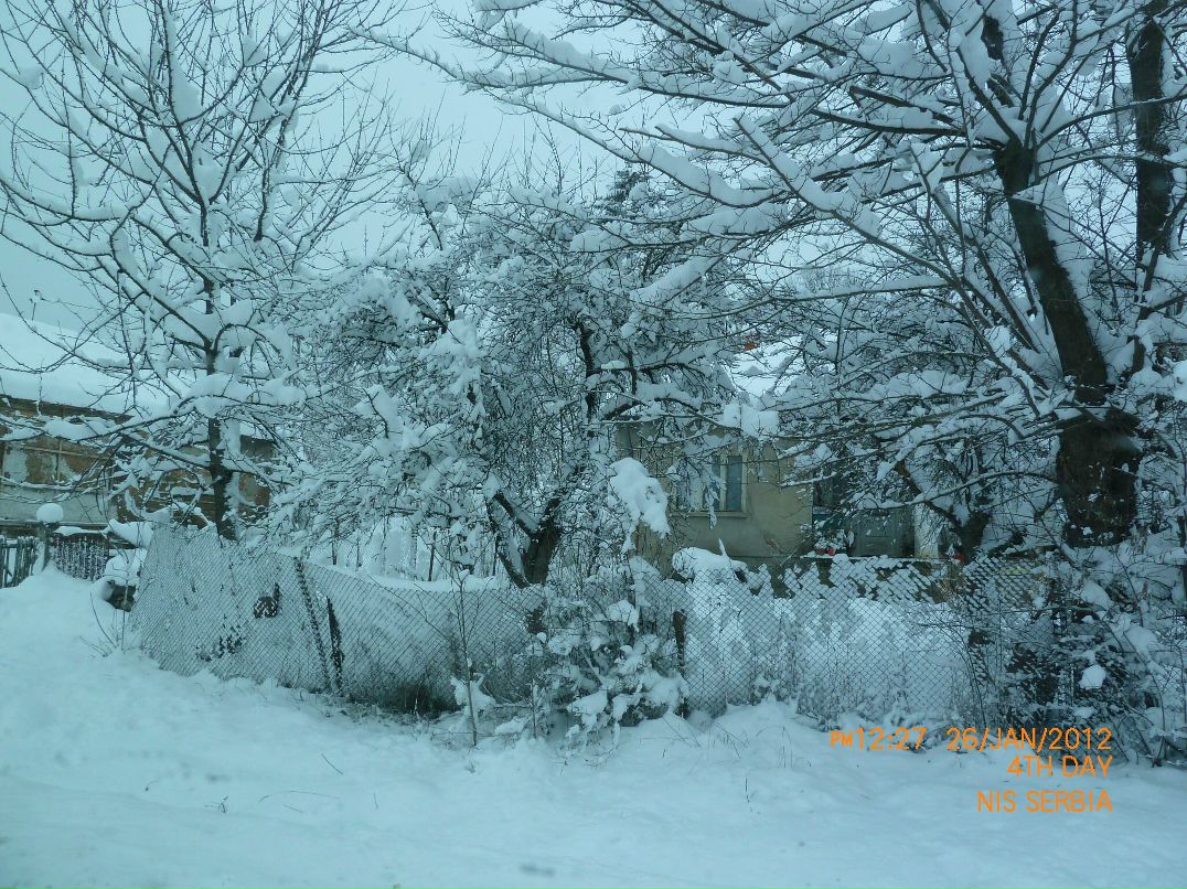 Марина Сойфер | Modi'in-Maccabim-Re'ut