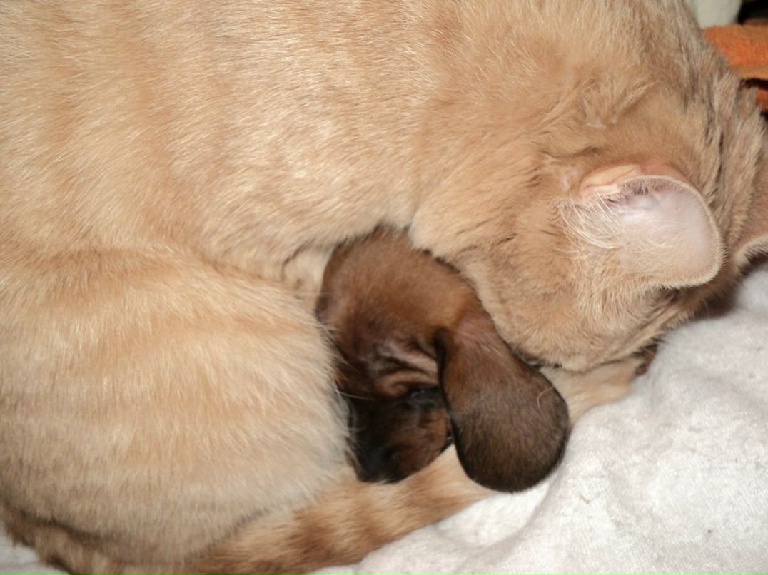 Ирина Ларина | Днепр (Днепропетровск)