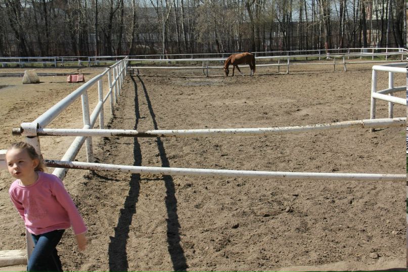 Марина Момот | Москва