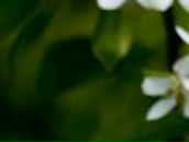 Ксения Ломовцева | Тольятти