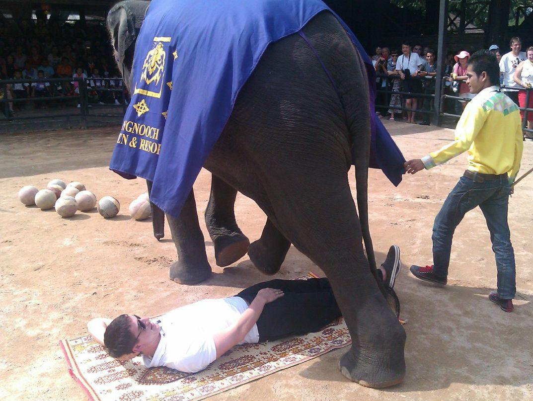 Вячеслав Неглинный | Москва