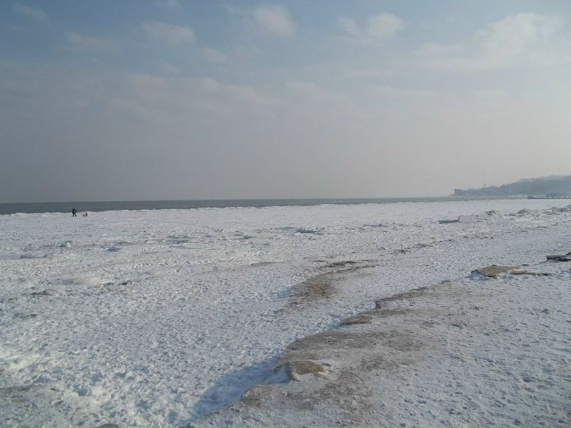 Radion Geforce | Минск