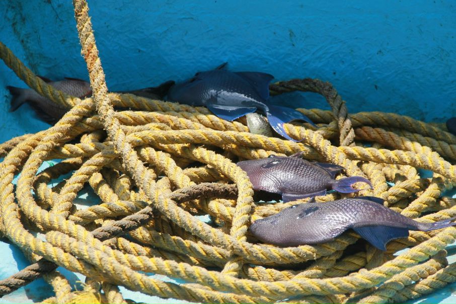 №21, Сергей Попов №21, Сергей Попов