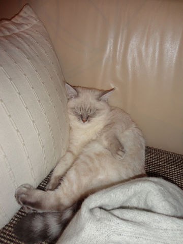 Татьяна Шилович | Минск