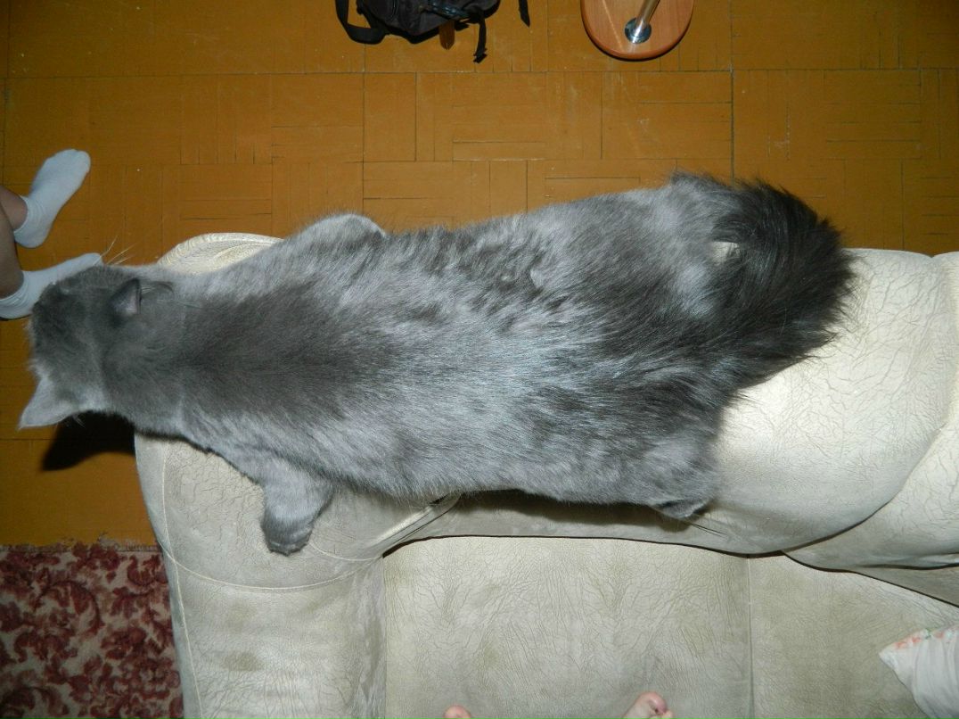 Евгений Мельниченко W | Челябинск