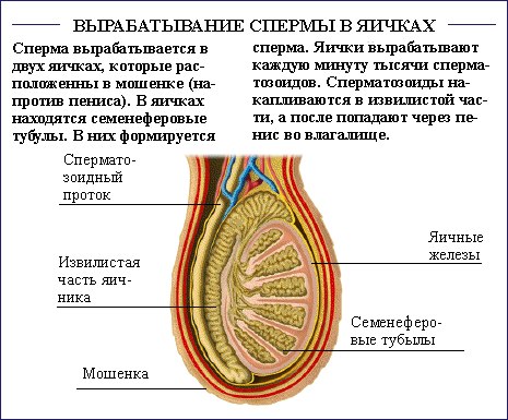 Яна Орлова | Пермь