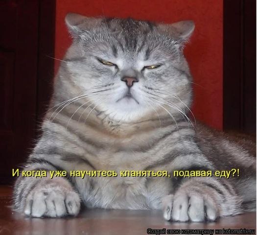 Алёна Замышляева | Луна