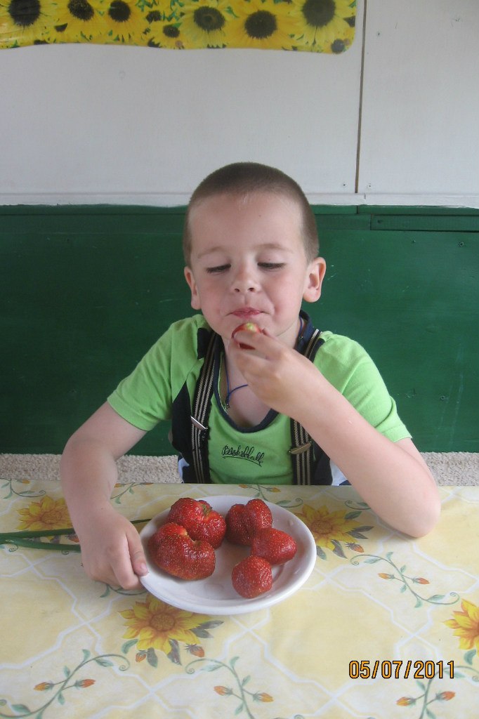 Александр Панчишин | Каменка