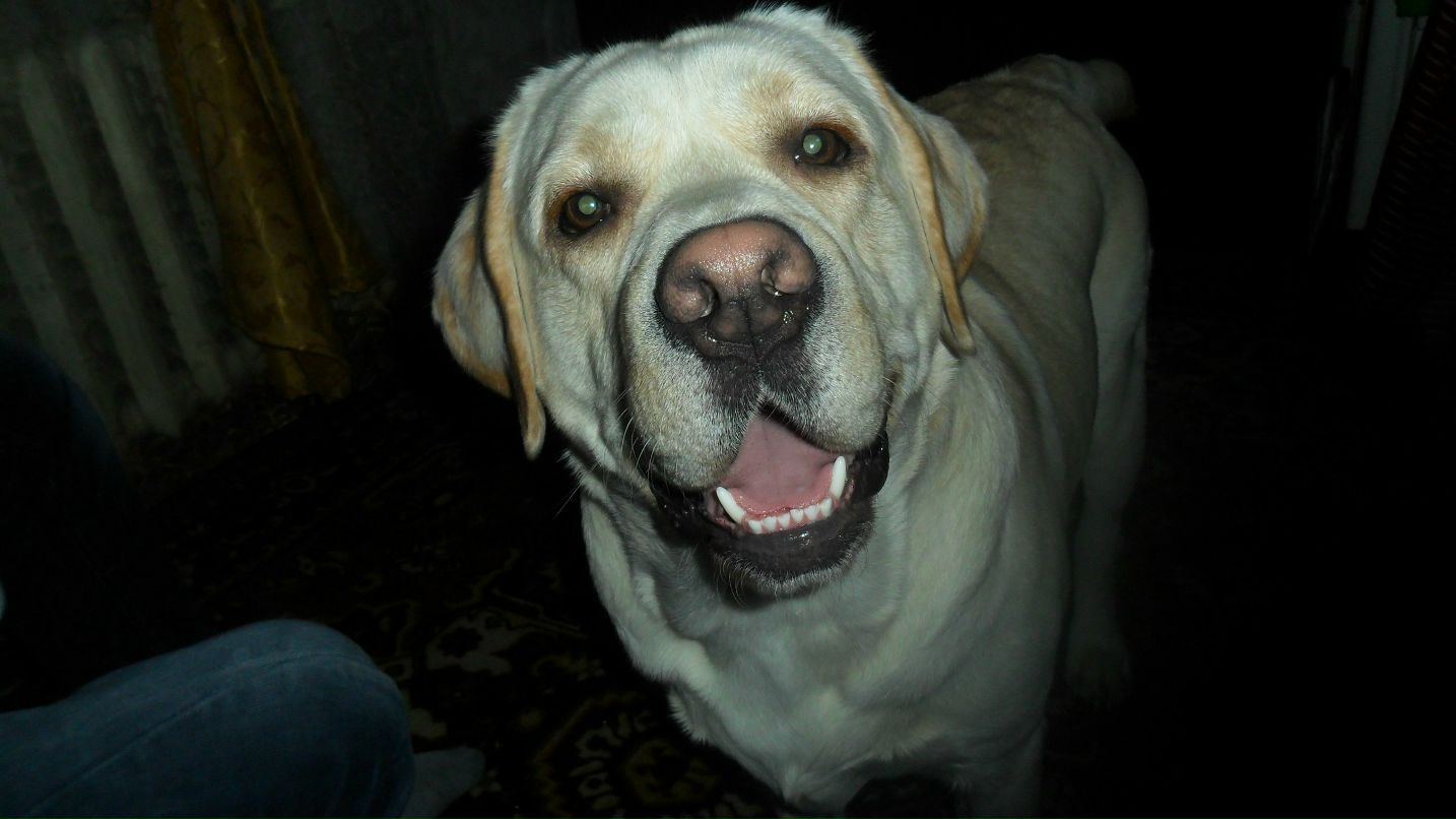 Оксана Клевцова николаевна | 