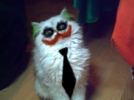 Роман Ростовцев Шелдон Сцуко Умный | Москва