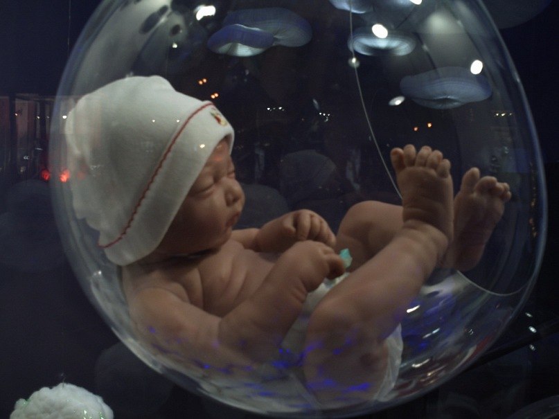 Сергей Шиков | Гомель