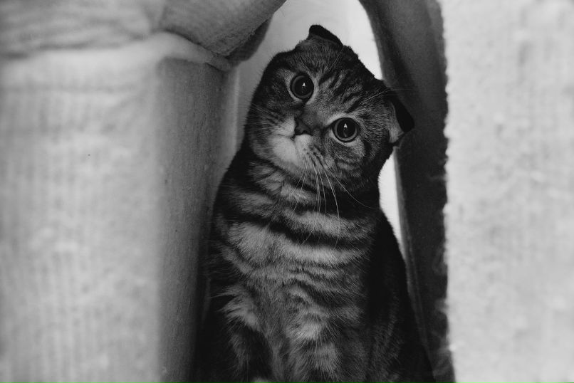 Кирилл Муллаянов =) | Уфа