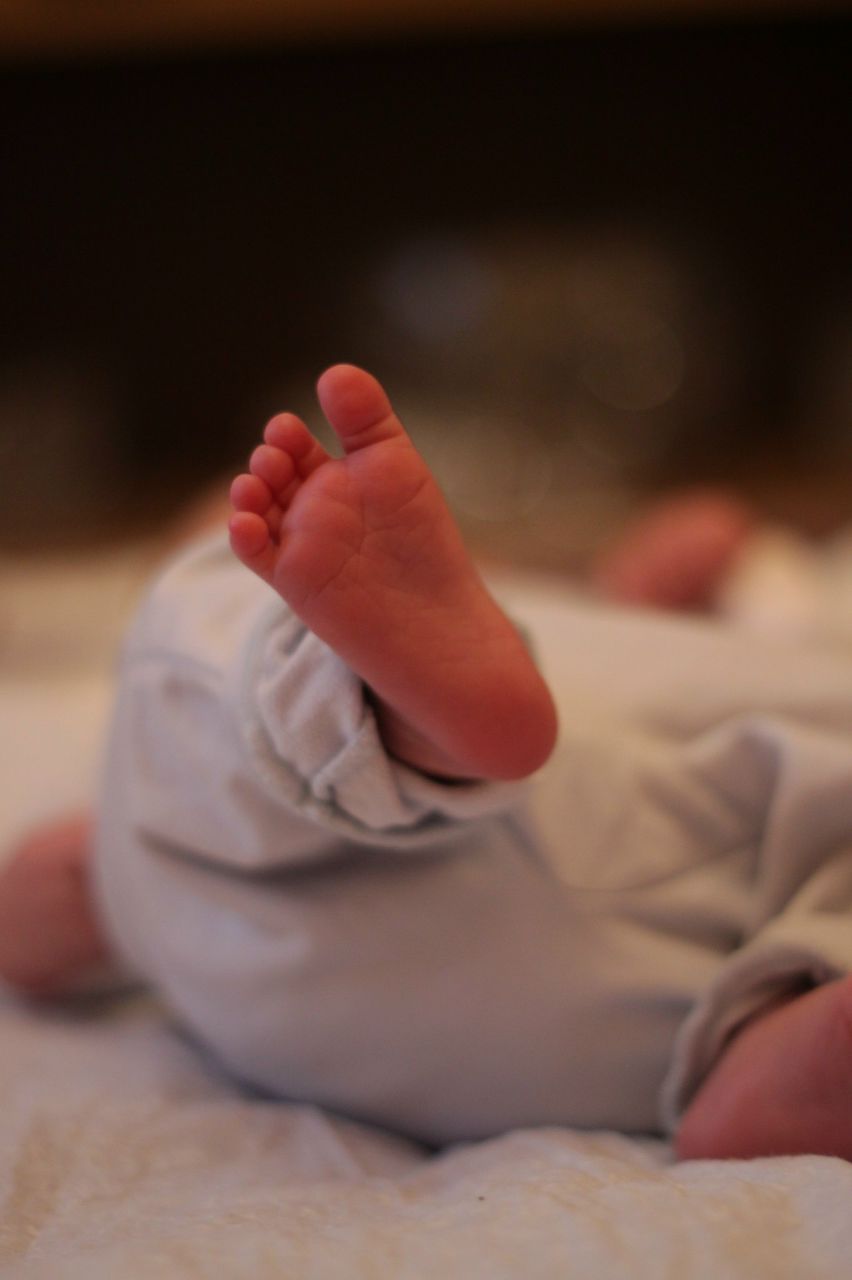 Анастасия Мнацаканян | Москва