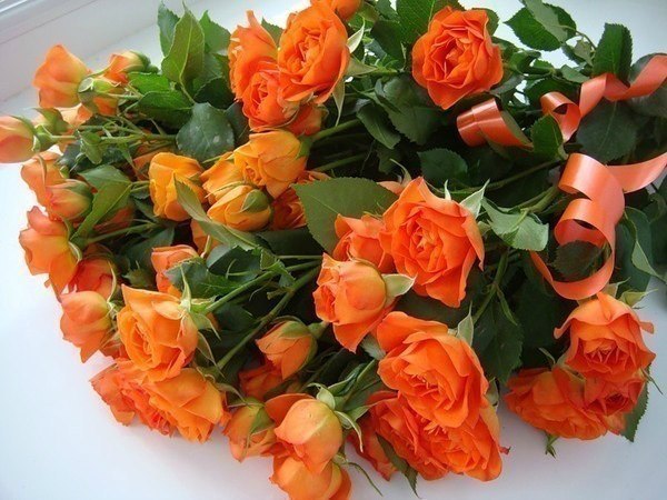 Светлана Назарова | Челябинск