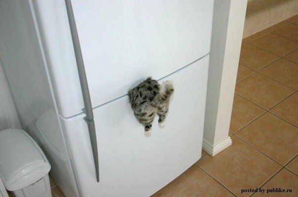 Kostya Lauda | Омск