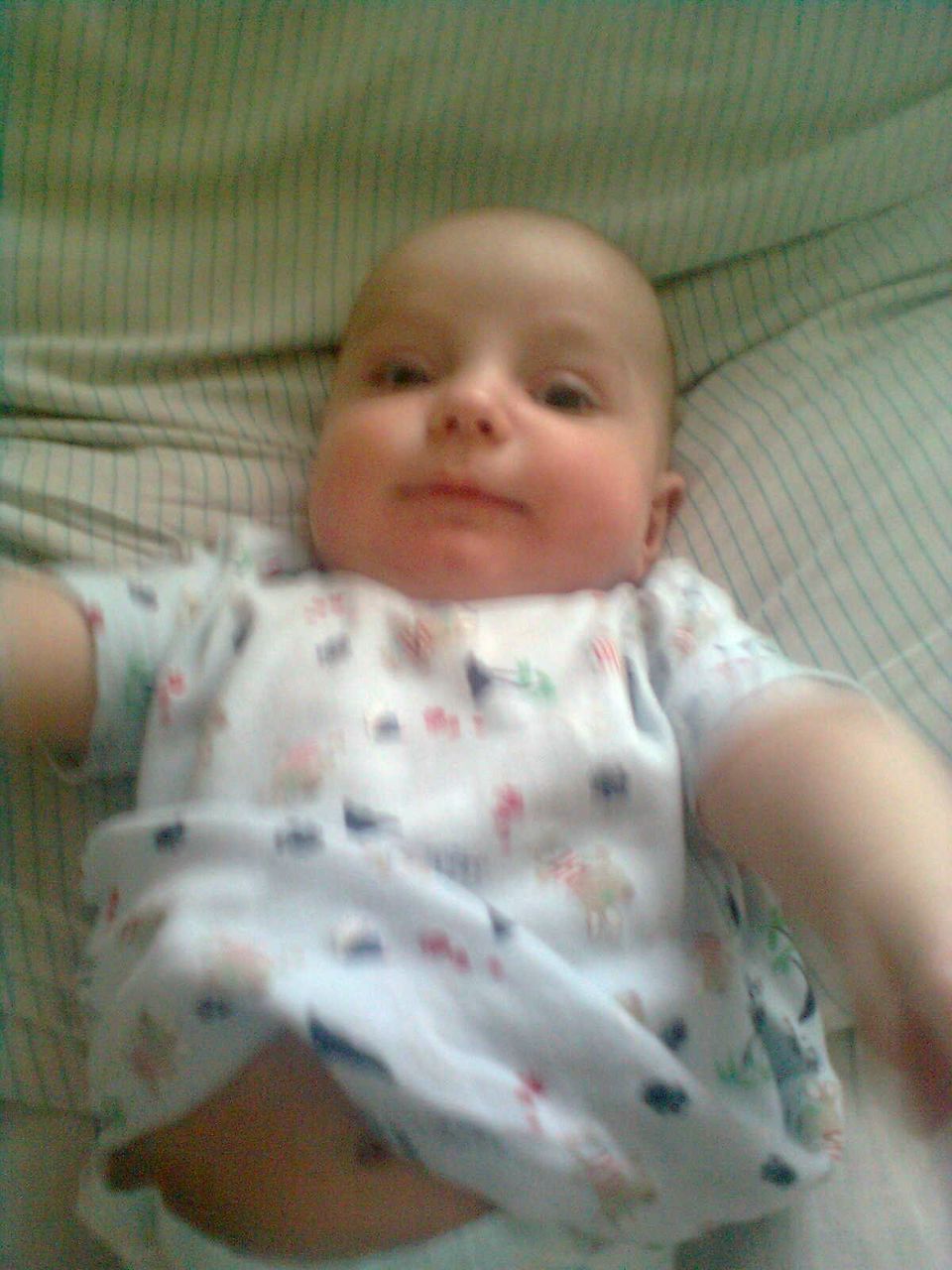 Мар'яна Сойка | Сокаль