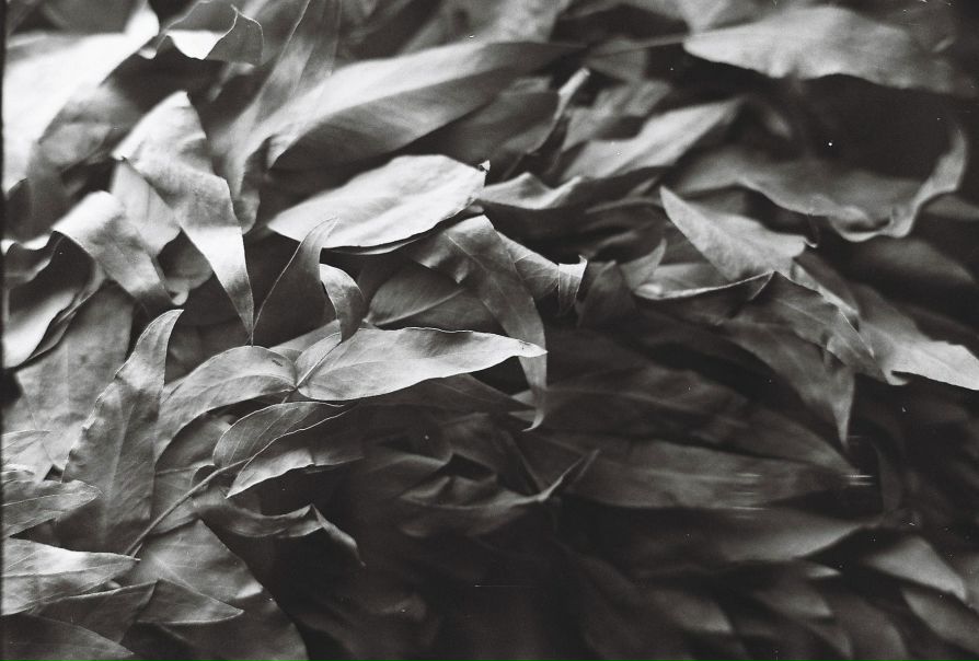 №69, Татьяна Смирнова, Краснодар №69, Татьяна Смирнова, Краснодар