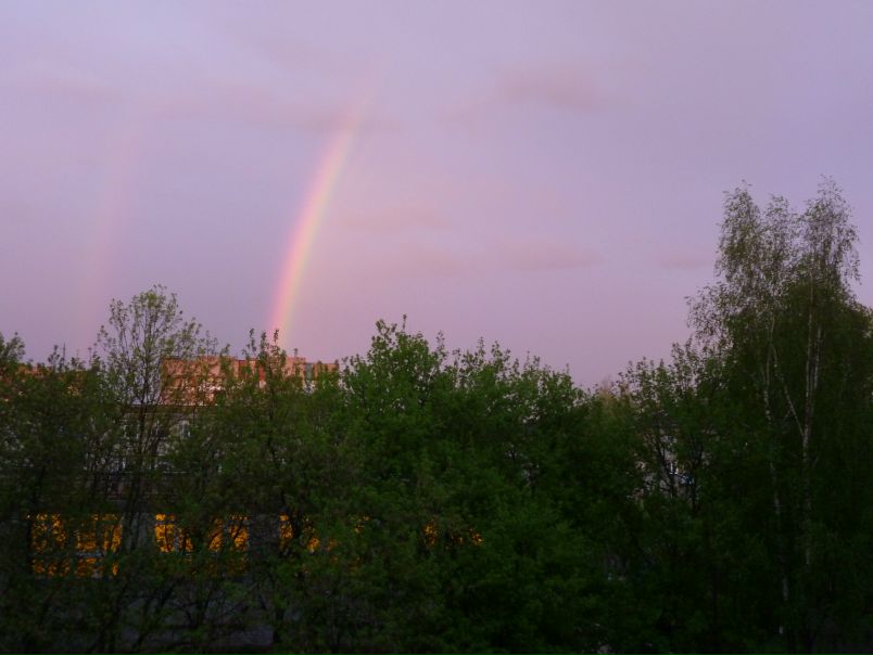 №1, Maria Shkurina, 33 года, Иваново, Россия №1, Maria Shkurina, 33 года, Иваново, Россия