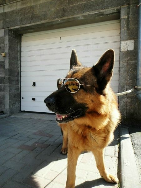 №74, Егор Марута, 30 лет №74, Егор Марута, 30 лет