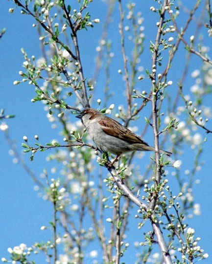 №20, Александра Быватова, Владивосток №20, Александра Быватова, Владивосток