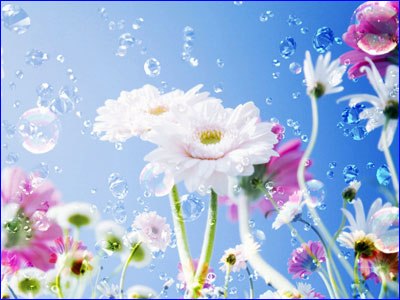 Надя Яковенко | Киев