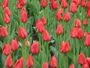 №17 Татьяна Леонова 22.02: профиль, фото, статус - ВКонтакте
