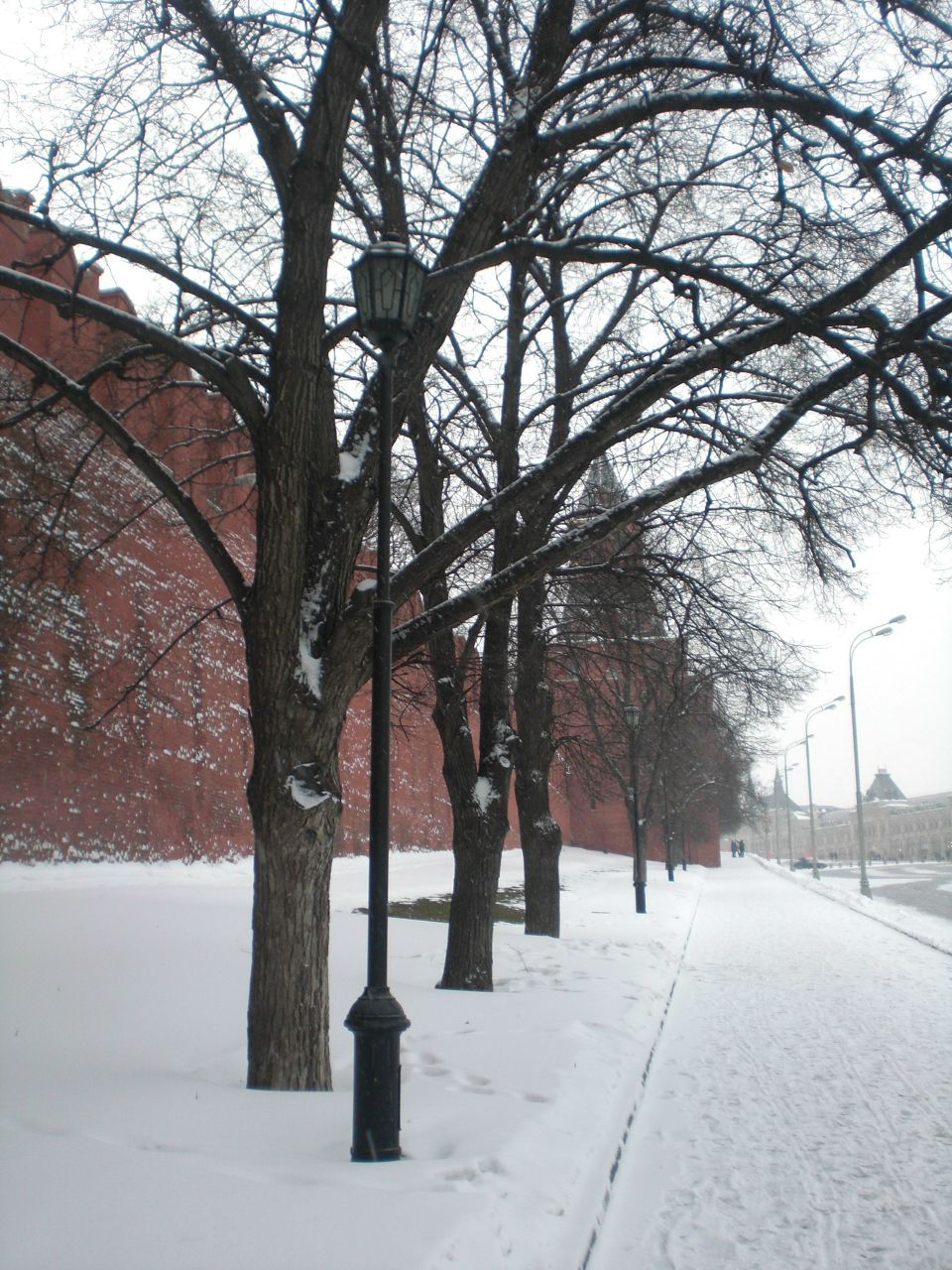Вероника Соколова | Москва