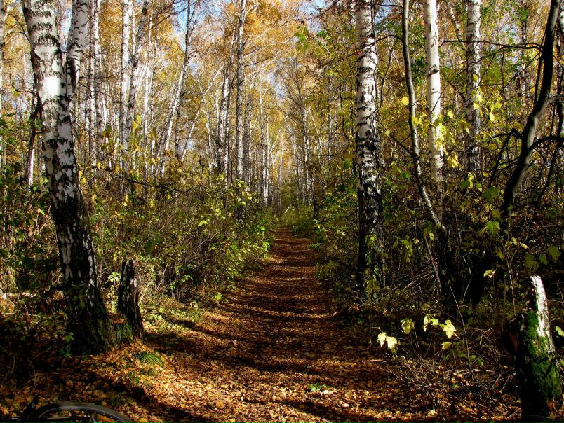 №175, Анастасия Широкова, Екатеринбург, Россия №175, Анастасия Широкова, Екатеринбург, Россия