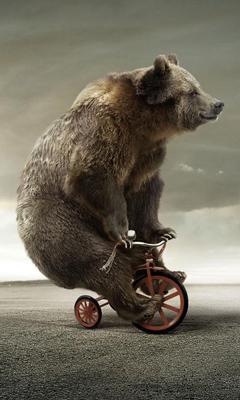 №36, Татьяна Боровик, 25.7.1992, Санкт-Петербург №36, Татьяна Боровик, 25.7.1992, Санкт-Петербург