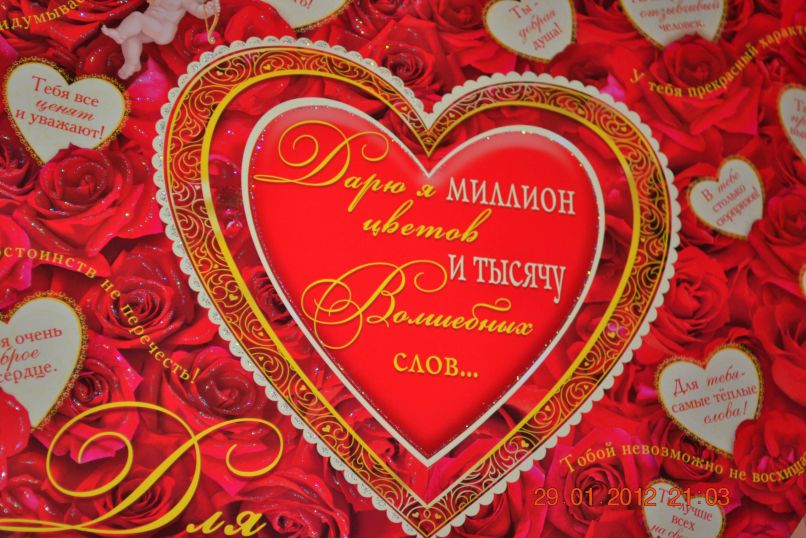 Альбина Некрасова | Бердянск