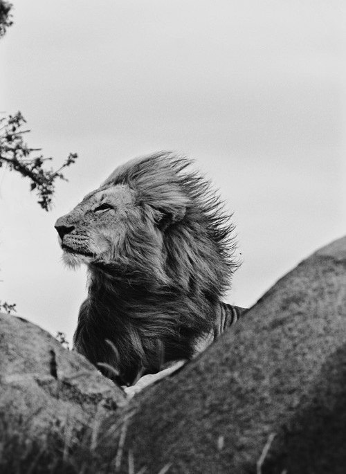 Саша Логинова | 