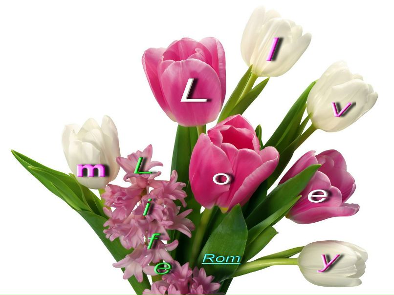 Рома Умедов | Москва