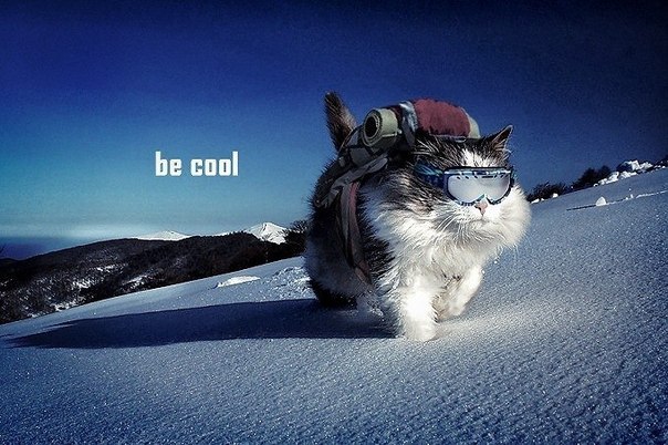 Андрей Молодец (Злой) | Челябинск