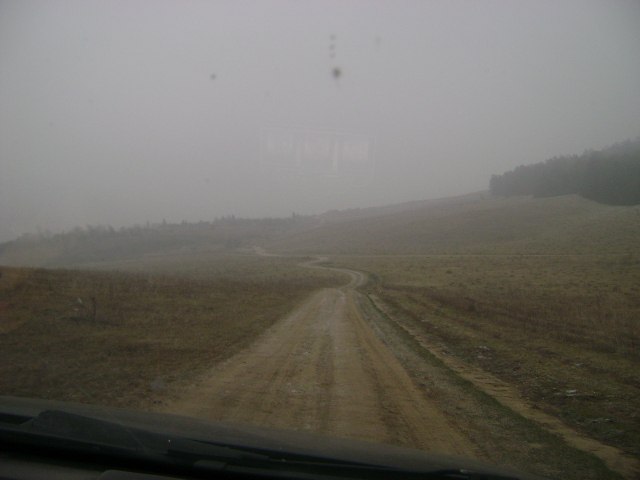 Коля Дуда | Warszawa