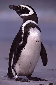 Полинка Ххххххххх | Самара