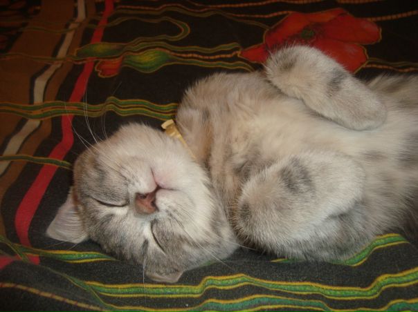 №8, Екатерина Байкова, Кинешма №8, Екатерина Байкова, Кинешма