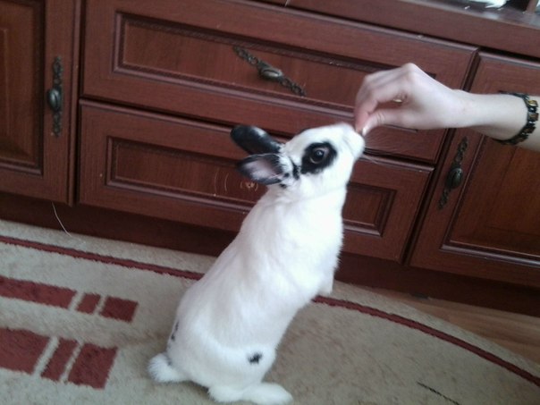 №80, Кристина Шишкова, Саранск №80, Кристина Шишкова, Саранск