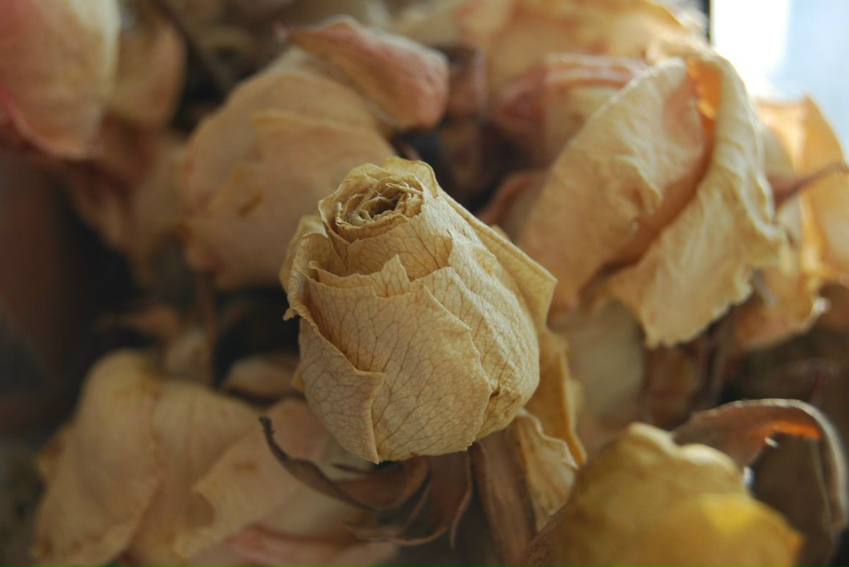 Tyzik Rityzik | Одесса