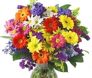 №35, Ольга Мандровская, Луга №35, Ольга Мандровская, Луга