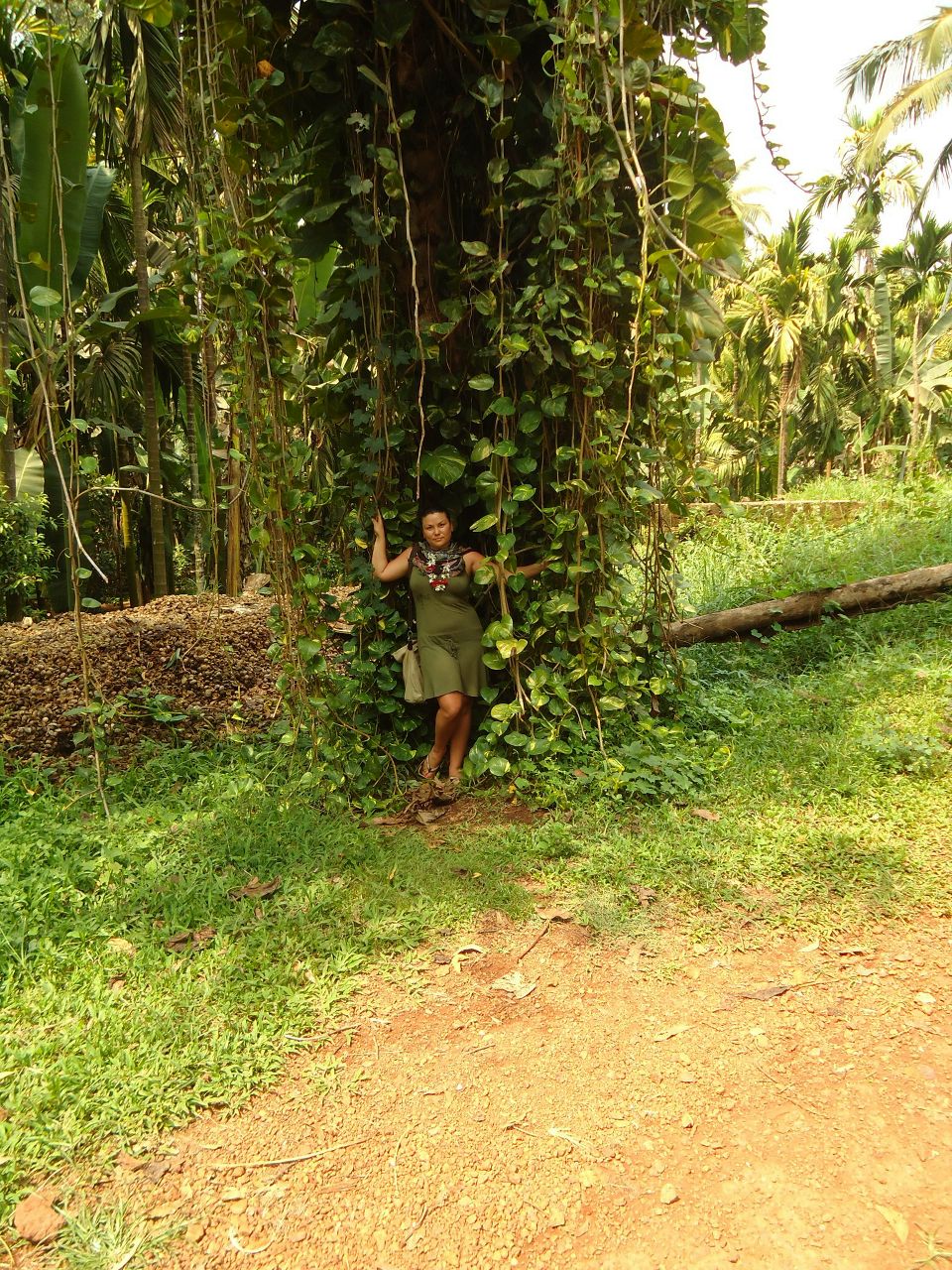 Алёна Шардакова | Пермь