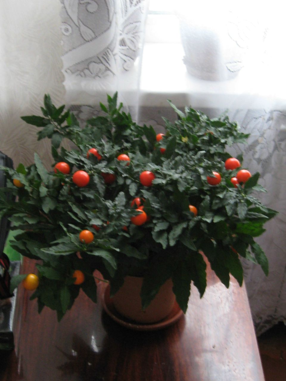 Марина Лазарчук | Сортавала