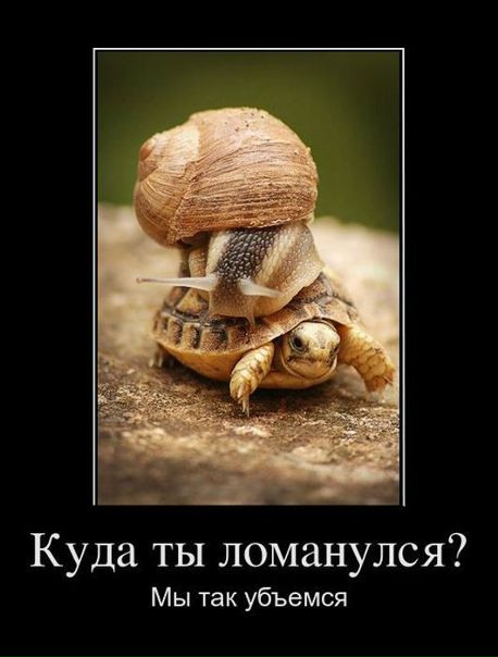 №194, Марина Шаронина, Москва, Россия №194, Марина Шаронина, Москва, Россия